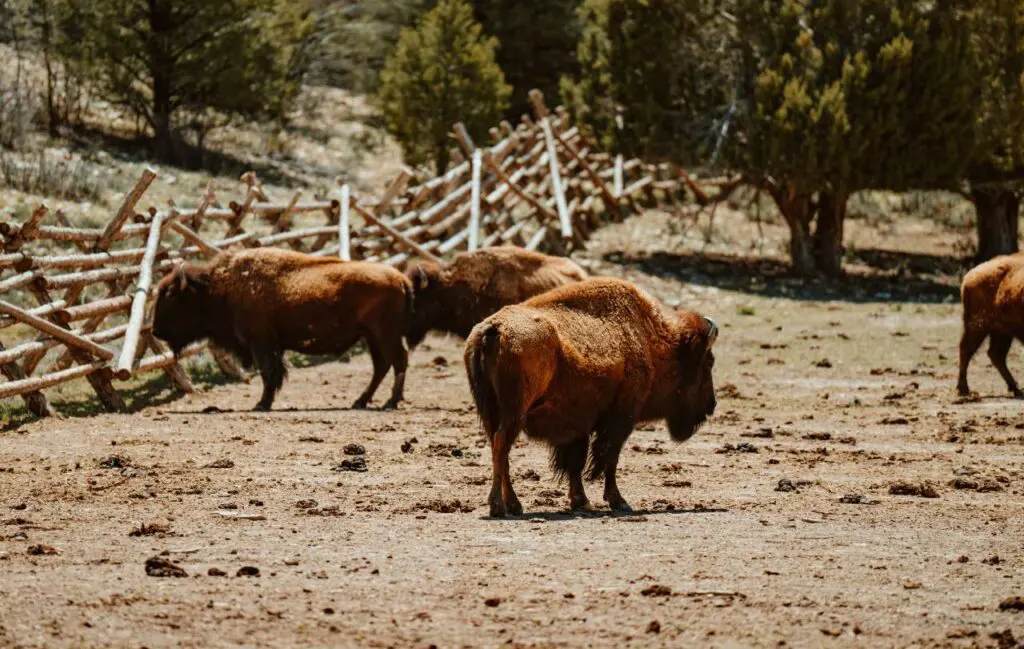 Nature scenes Commercial Video Production Hollywood Floreda