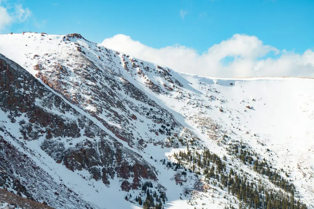 Affordable Commercial Video Production Services – Hollywood FL autumn forest