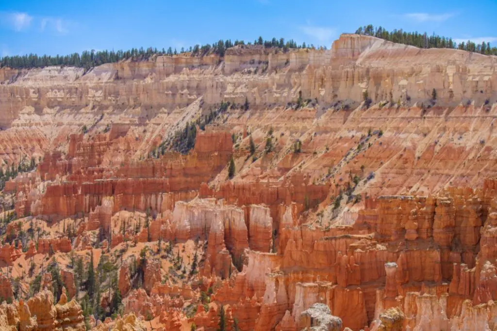 Commercial Video Production Hollywood FL for Businesses – prairie landscape