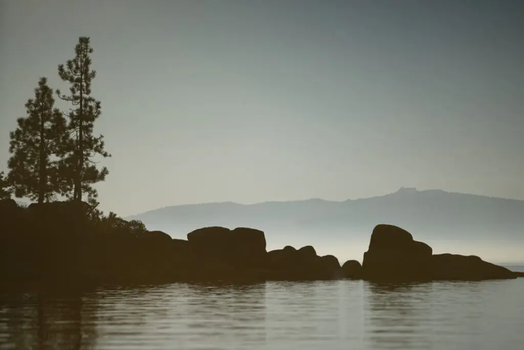Field of colorful flowers landscape photography