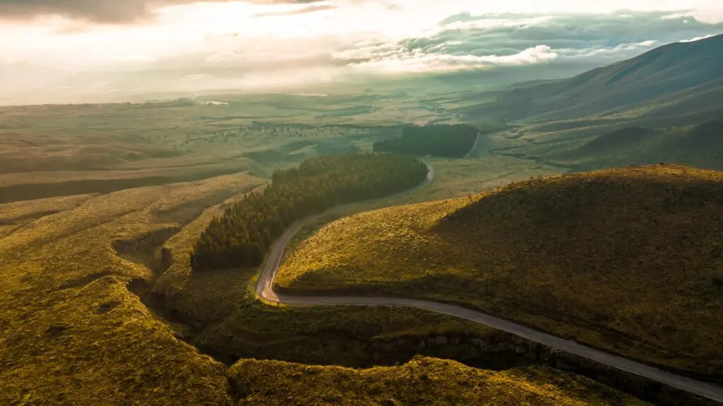 Hollywood FL Commercial Video Production Experts – spring meadow