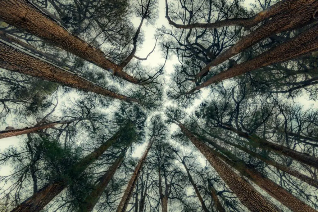 Creative Photo Art – cinematic black and white composition