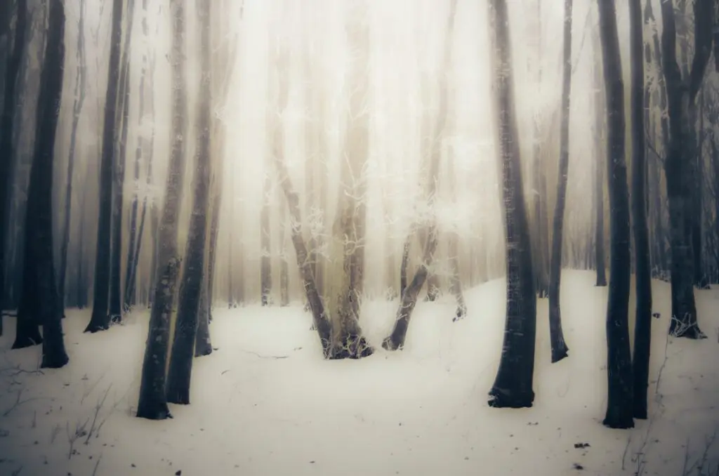 Abstract Photo Art – geometric lines in architecture