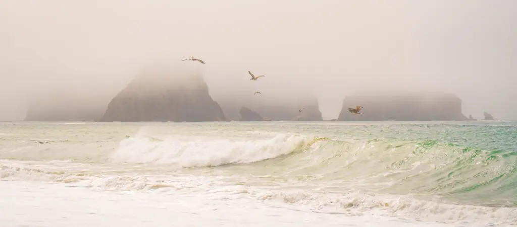 Photography and Psychology