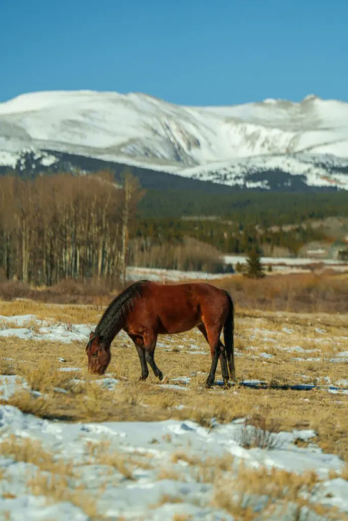 Hollywood Floreda professional wildlife films