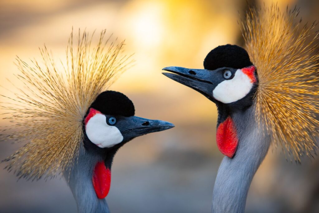 Outdoor Couples Photography – mountain trail walk