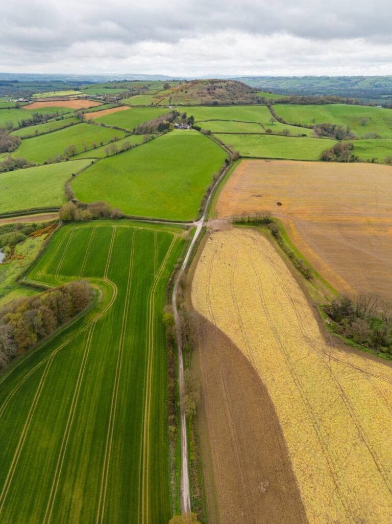 Aerial view of patchwork farmland with green pastures, hedgerows and a ploughed field
