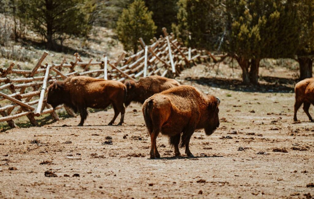 Nature scenes Commercial Video Production Hollywood Floreda