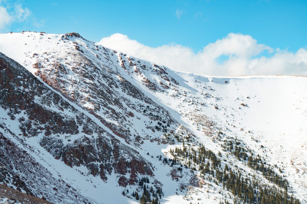 Affordable Commercial Video Production Services – Hollywood FL autumn forest