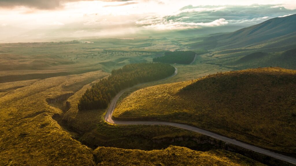 Hollywood FL Commercial Video Production Experts – spring meadow