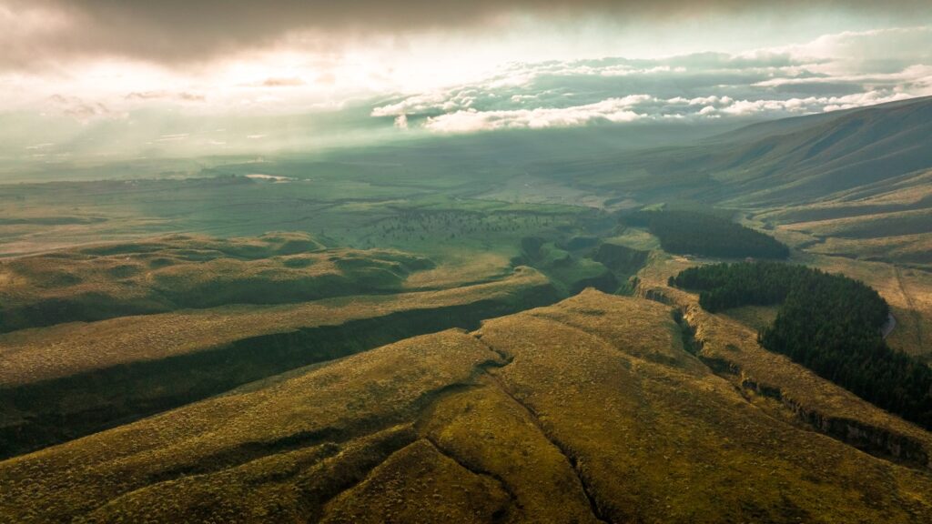 Local Commercial Video Production in Hollywood Florida – wheat field