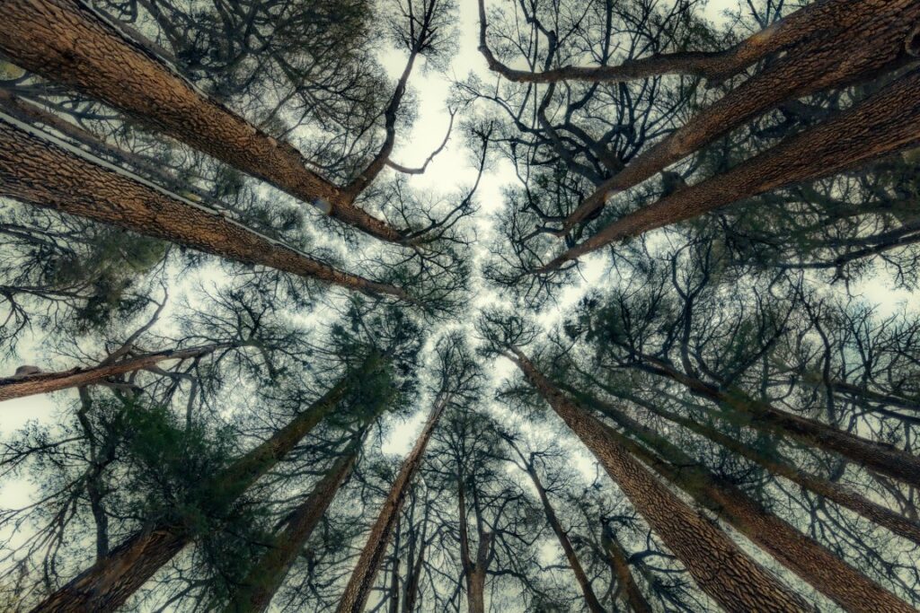 Creative Photo Art – cinematic black and white composition