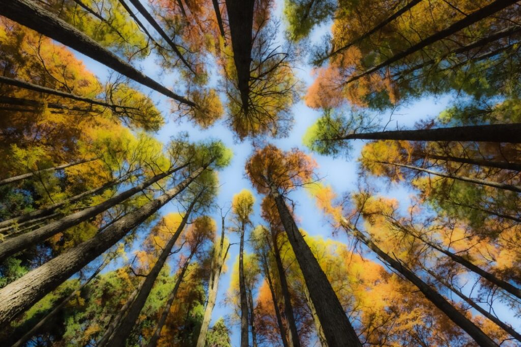 Modern Photo Art Photography – colorful abstract image