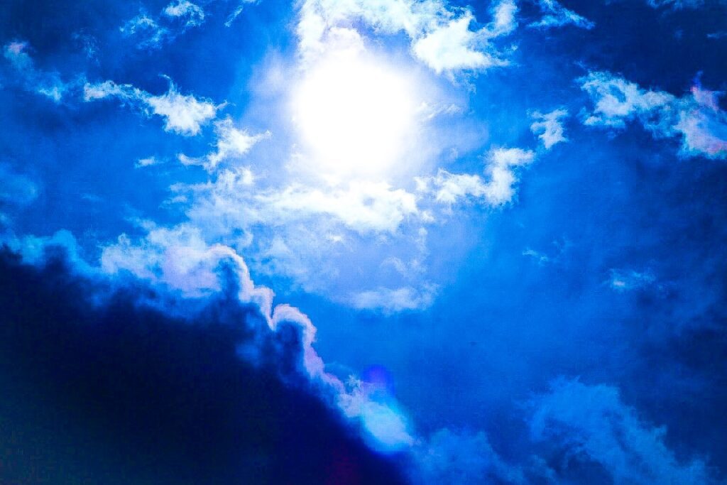 Abstract Photo Art – experimental nature composition