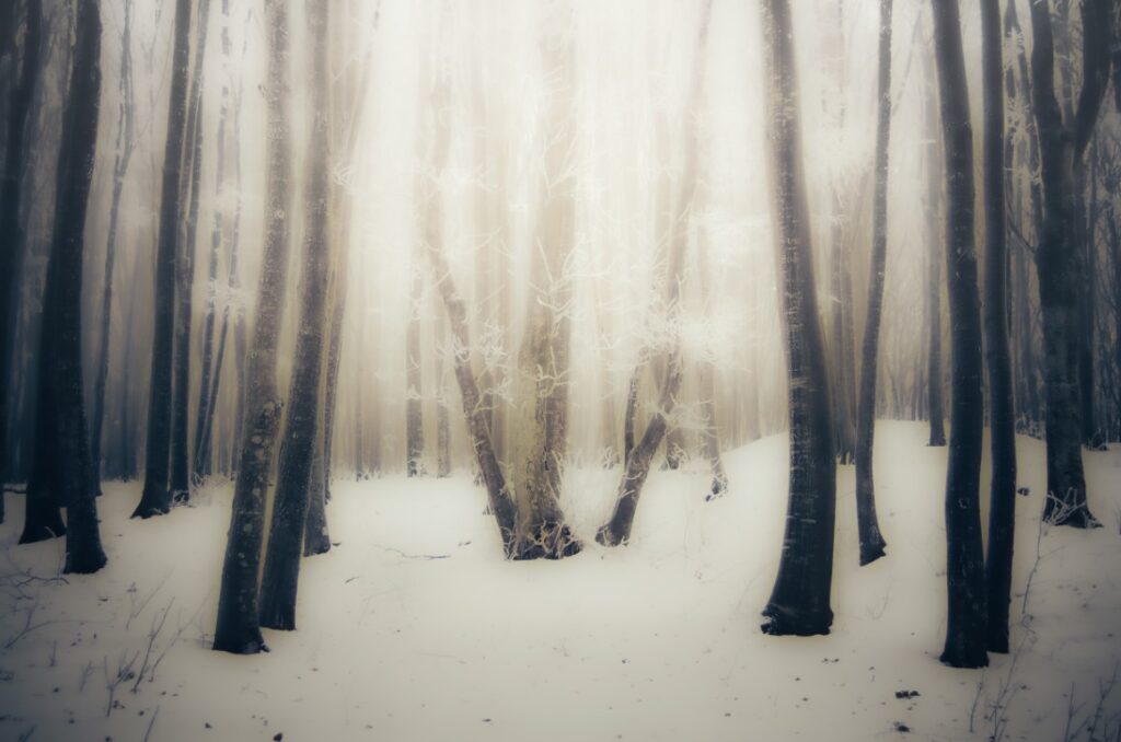 Abstract Photo Art – geometric lines in architecture