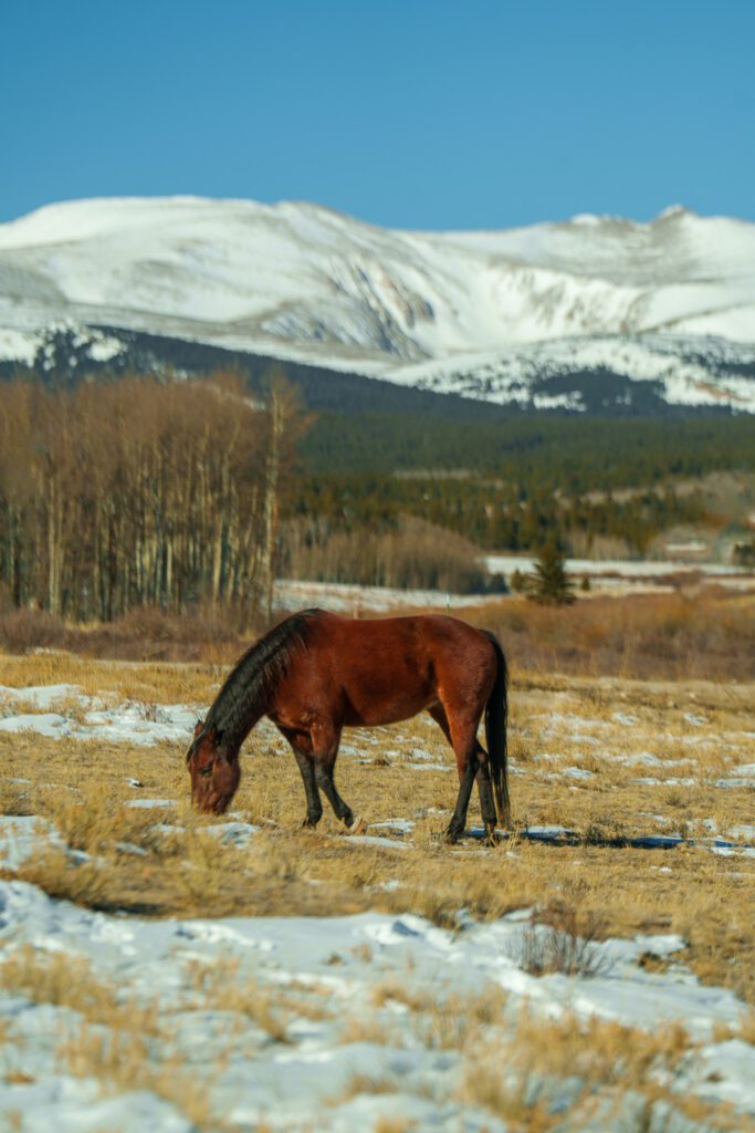 Hollywood Floreda professional wildlife films