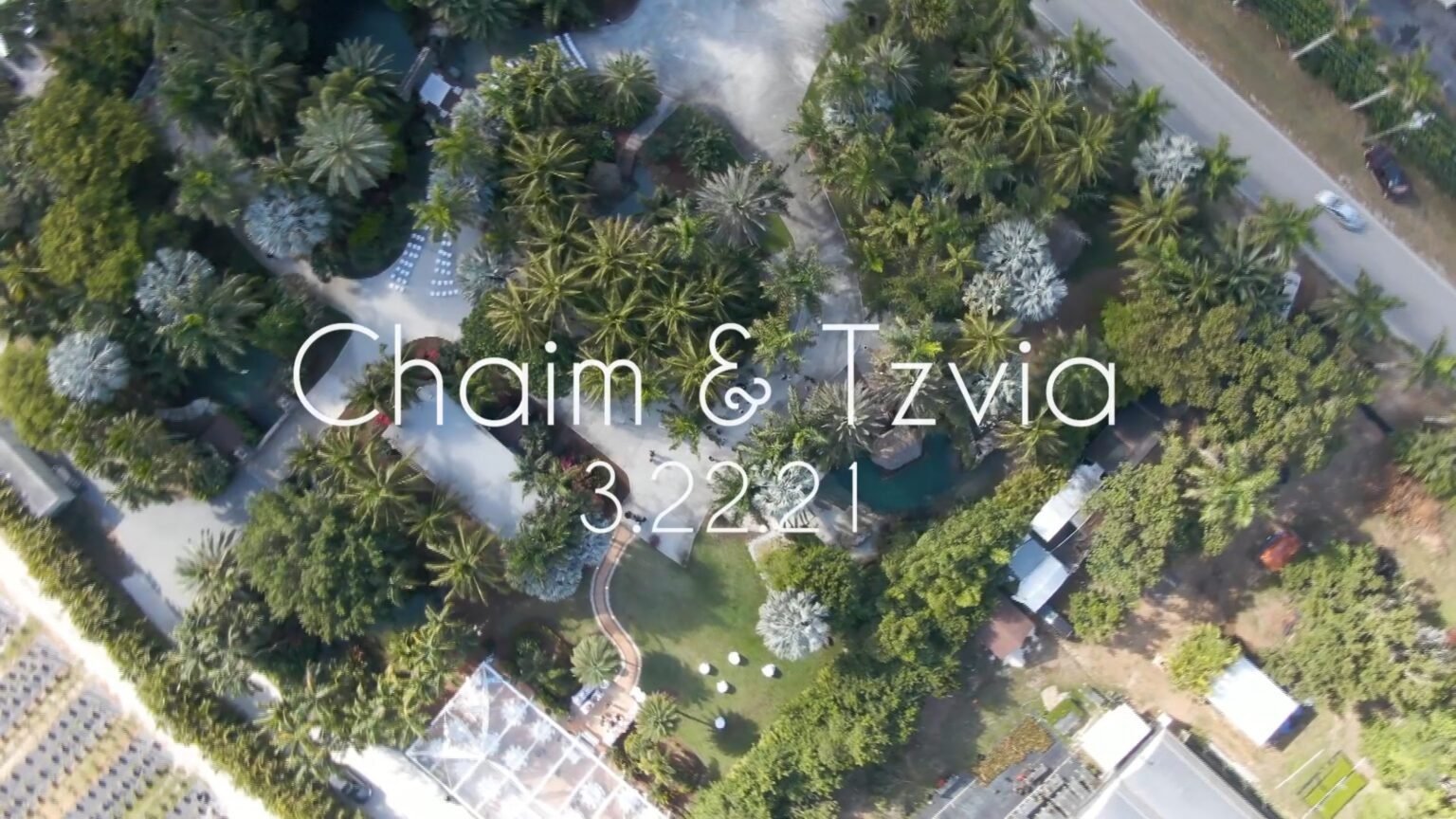 Wide overhead aerial of palm trees and lawns beside a road, overlaid with couple names