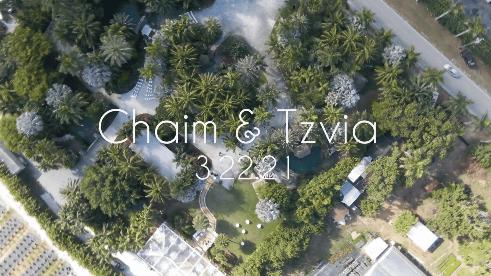 Wide overhead aerial of palm trees and lawns beside a road, overlaid with couple names