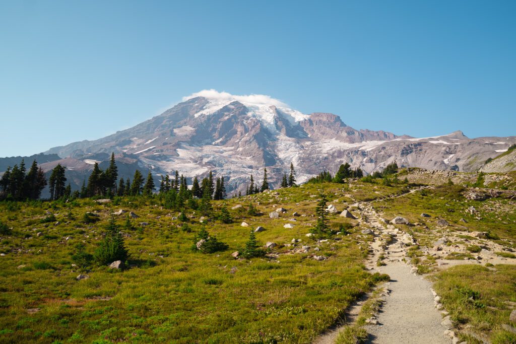 skyline trail mt raInier