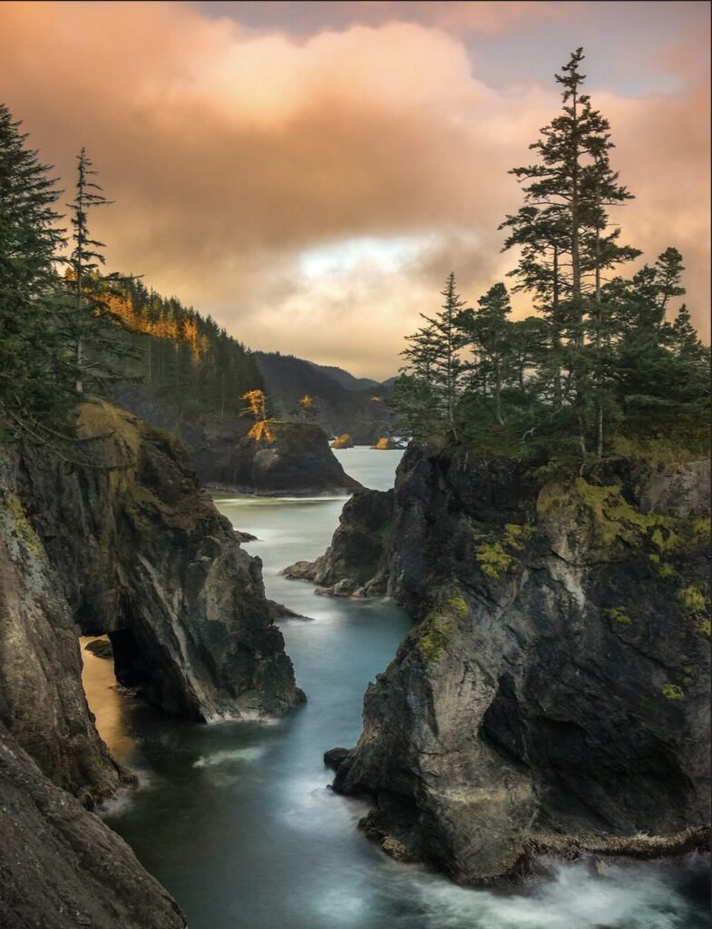 Sea channel winding between forested rock outcrops under an orange sunset sky