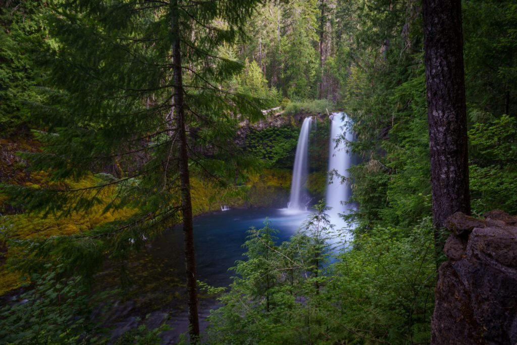 Waterfall framed by conifer trunks dropping into a deep blue forest pool