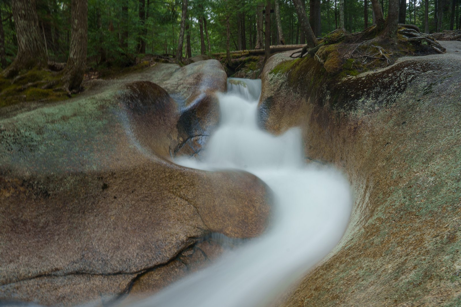 Stream sliding over smooth curved granite ledges in a green forest