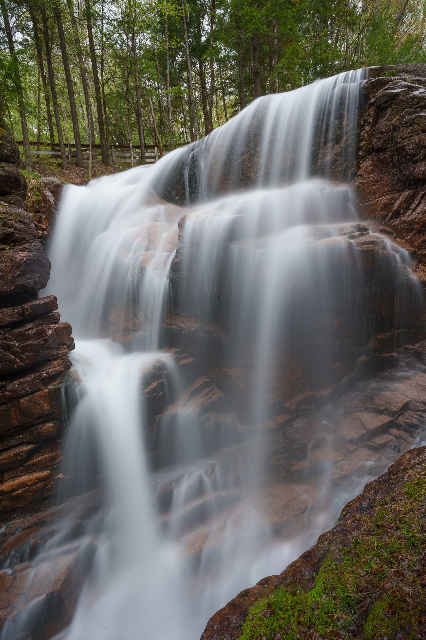 Long-exposure waterfall pouring over stepped rock shelves with slender bare trees behind