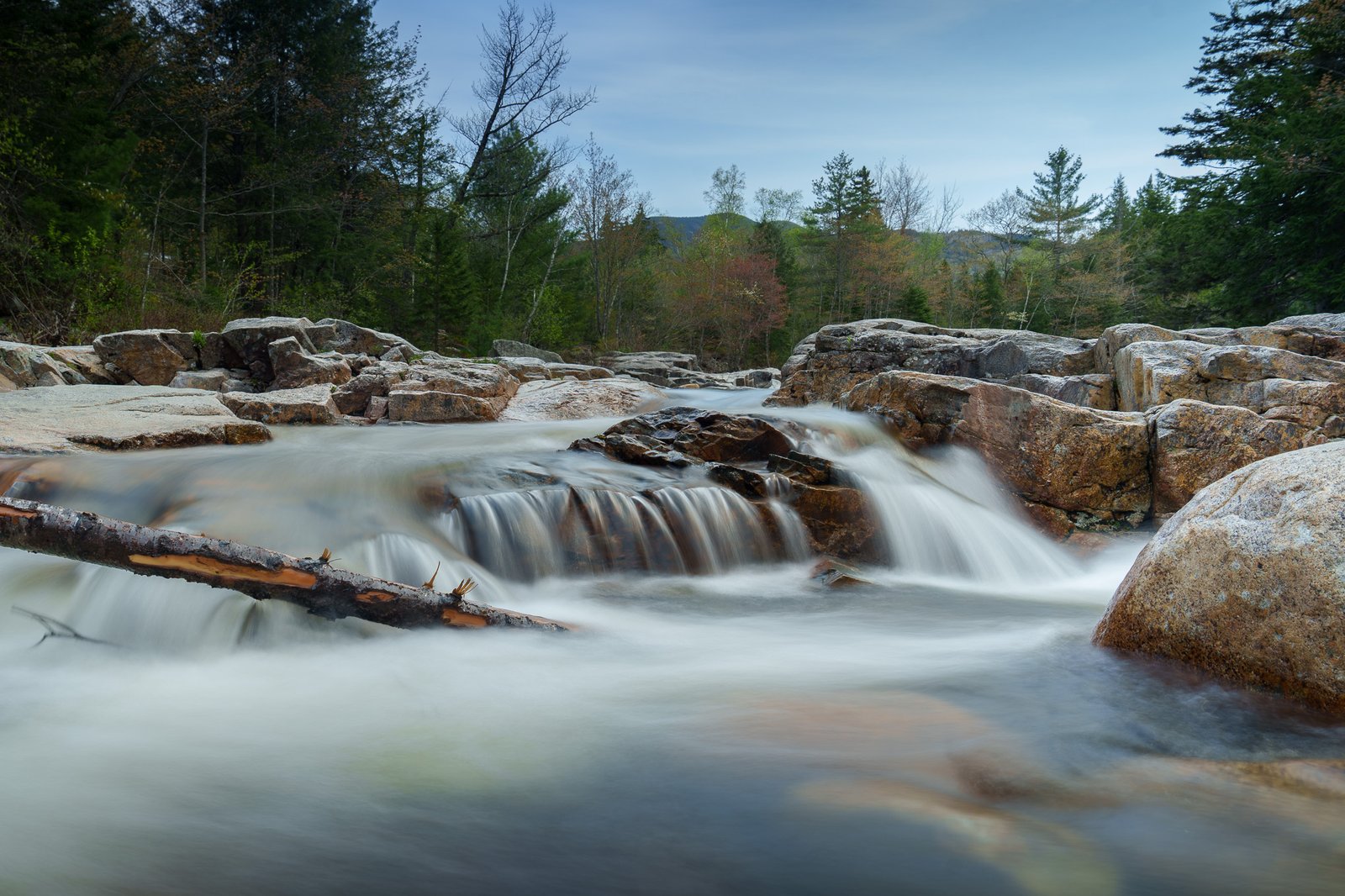 Wide rocky river rapids below evergreen forest and a blue sky