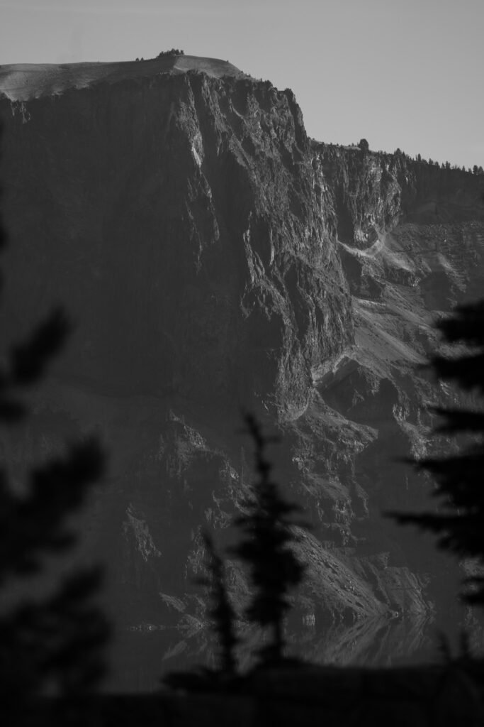 Black and white sheer cliff face with scree gullies behind silhouetted conifer tops