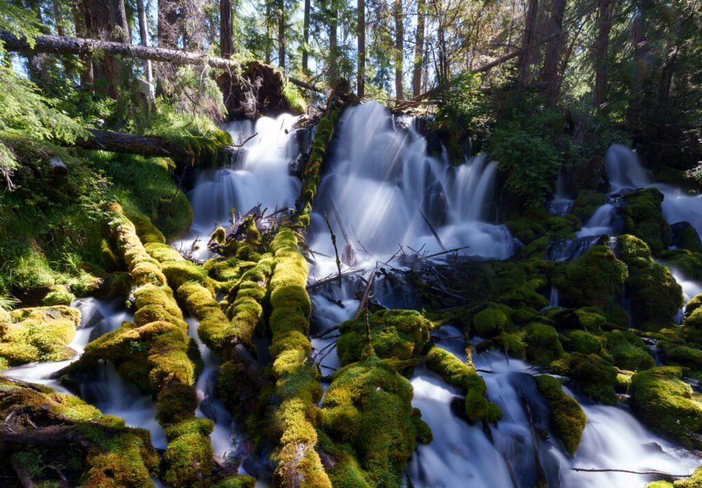 Water cascading over bright green moss-covered logs and boulders in a sunlit forest