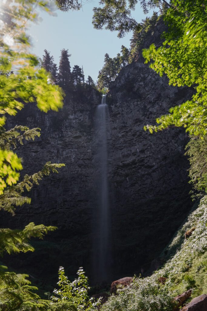Thin waterfall dropping down a dark basalt cliff framed by sunlit leafy branches