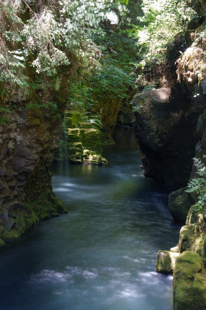 Turquoise river winding through a narrow gorge with moss and ferns on the walls