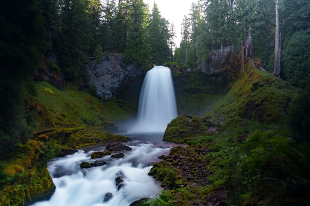 Wide waterfall dropping into a rocky creek between mossy banks and tall conifers