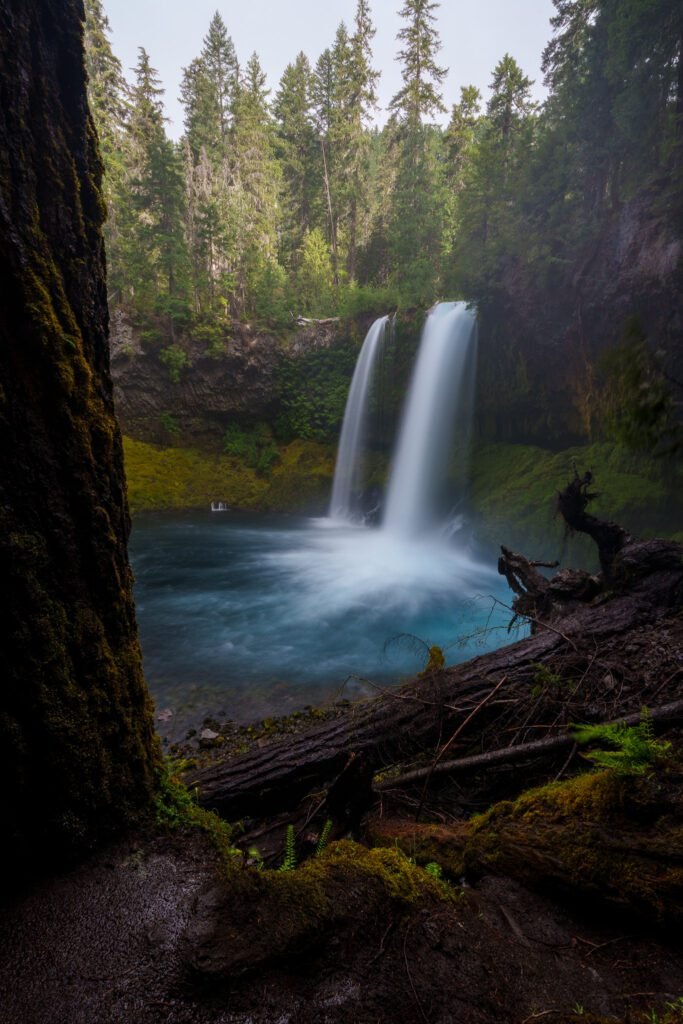 Twin waterfall falling into a blue pool, seen past a mossy tree trunk