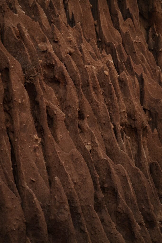 Close-up of reddish-brown eroded earth wall with vertical ridges and grooves