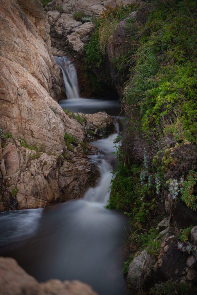 Small waterfall and stream winding through a rocky ravine lined with green plants