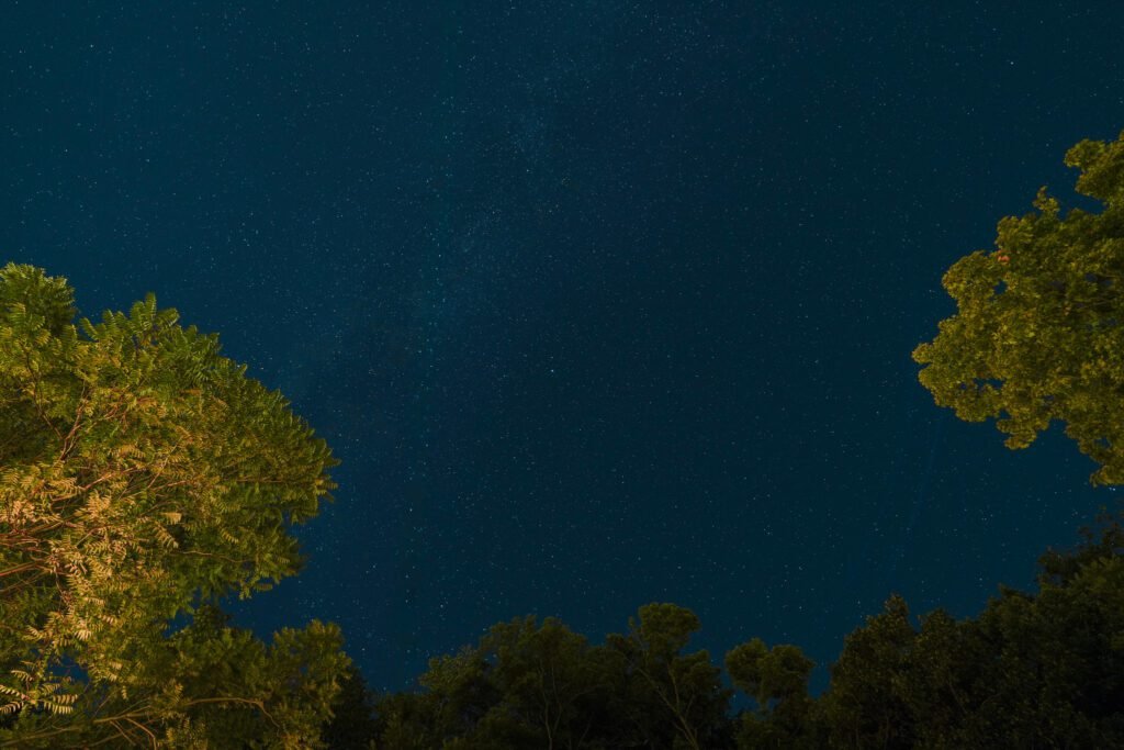 A dense field of stars framed by dark treetops over the Finger Lakes