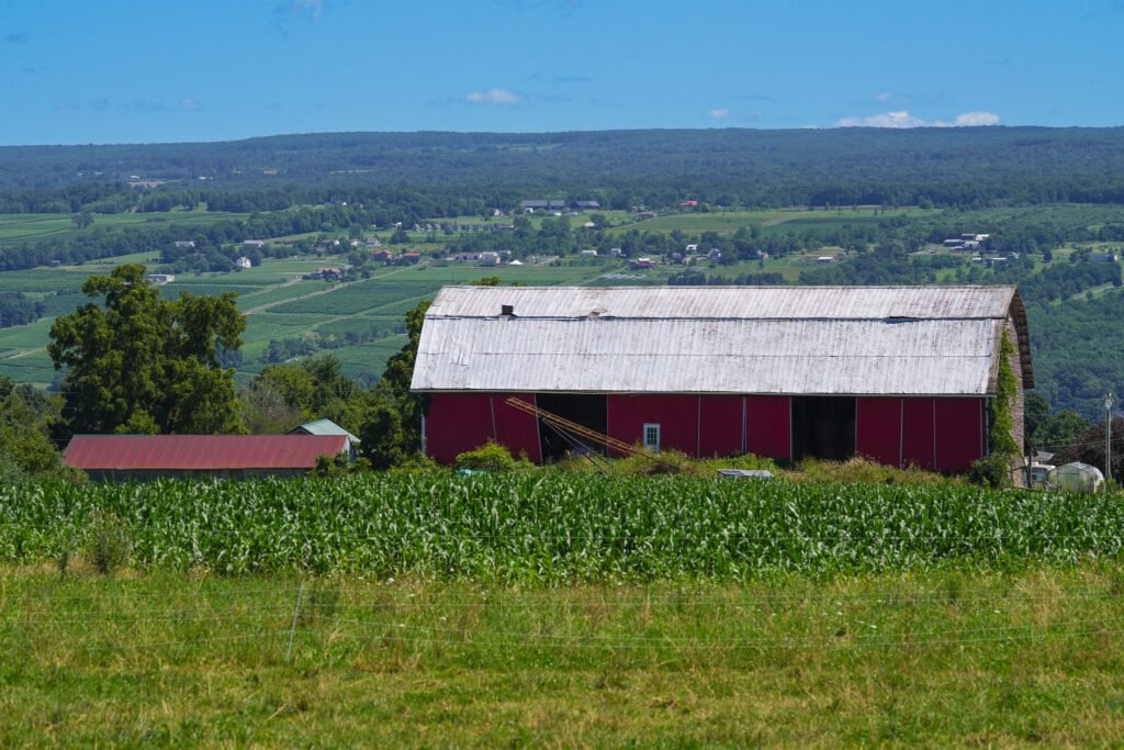 A red barn with a white roof above a green cornfield with farmland rolling to the horizon