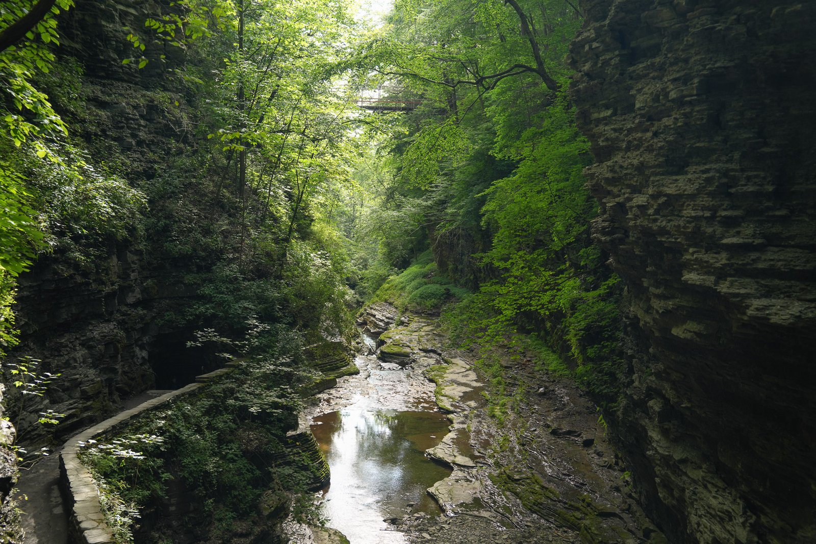 The gorge trail at Watkins Glen curving along the rock wall beside the stream under heavy summer green