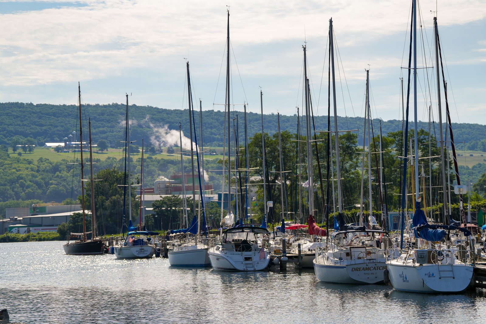 Sailboats moored in rows at the Watkins Glen marina with farmland and wooded hills rising behind