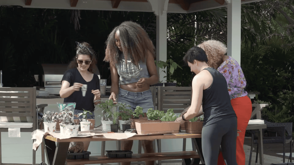 Four people potting herbs and seedlings at a long outdoor table under a covered patio